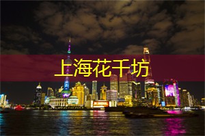 跨界互动：上海的文化与科技融合
