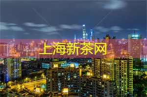 音乐节上的欢声笑语：上海的盛况